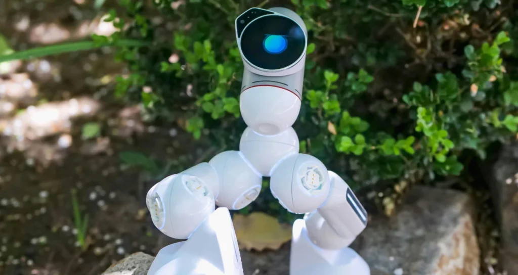 Ai influencing garden